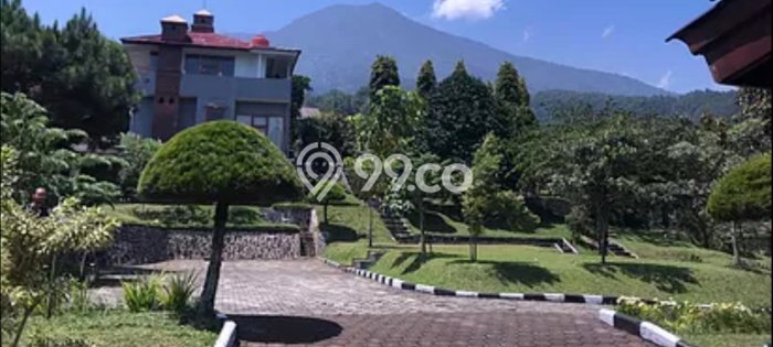 Dijual Rumah Luas Megah Dengan View Eksklusif di Ciapus, Bogor Dijual Rumah Luas Megah Dengan View Eksklusif di Ciapus, Bogor