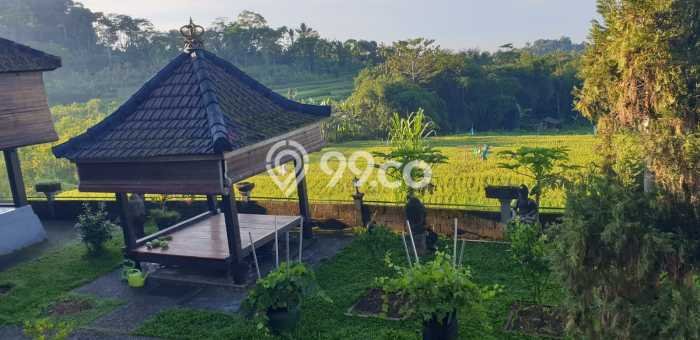 Rumah Mewah Siap Huni LT 750m2 di Petang, Badung Rumah Mewah Siap Huni LT 750m2 di Petang, Badung