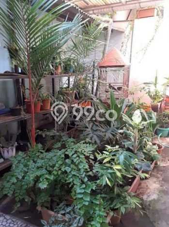 Rumah Mewah Jangli Perbalan Raya, Jatingaleh, Semarang Rumah Mewah Jangli Perbalan Raya, Jatingaleh, Semarang