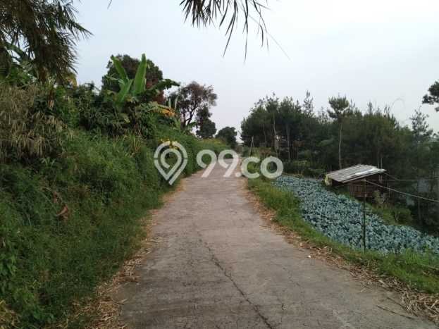 Rumah Eksklusif Dijual LT 766m2 di Parongpong, Bandung Barat Rumah Eksklusif Dijual LT 766m2 di Parongpong, Bandung Barat