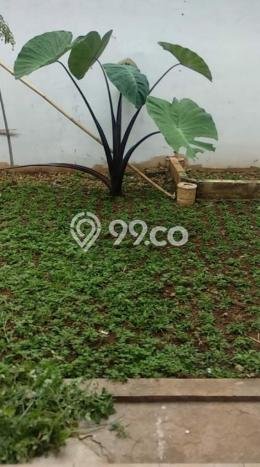 Rumah Asri di Cinere, Dekat Cinere, Jakarta Selatan, Jakarta Selatan - 3 KT Rumah Asri di Cinere, Dekat Cinere, Jakarta Selatan, Jakarta Selatan - 3 KT