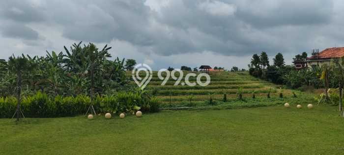 Rumah Elit LB 600m2 Siap Huni Desain Elegan di Canggu, Badung Rumah Elit LB 600m2 Siap Huni Desain Elegan di Canggu, Badung