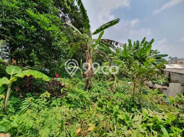 Jual Rumah Murah di Sawangan Depok Harga Rp 4,95 Juta LT 1247m2 Jual Rumah Murah di Sawangan Depok Harga Rp 4,95 Juta LT 1247m2