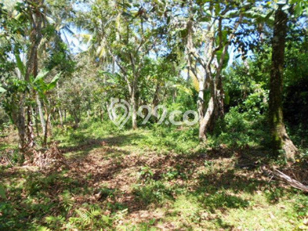 Dijual Tanah Area Berkembang di Soka, Luas 9500m², Dekat Fasilitas Umum Dijual Tanah Area Berkembang di Soka, Luas 9500m², Dekat Fasilitas Umum