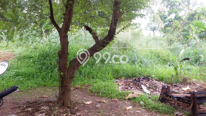 HARGA TERBAIK! Tanah Kawasan Ciputat, Luas 5000m², Akses Mudah, Cocok untuk Hunian HARGA TERBAIK! Tanah Kawasan Ciputat, Luas 5000m², Akses Mudah, Cocok untuk Hunian