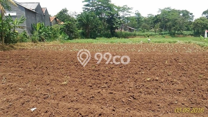 Tanah Dijual Lokasi Cileungsi, Bogor dengan Luas Tanah 1177m2 dan Status - Tanah Dijual Lokasi Cileungsi, Bogor dengan Luas Tanah 1177m2 dan Status -