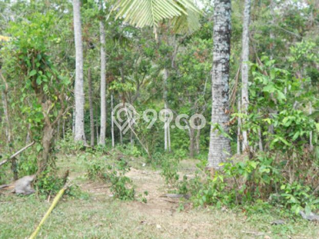 Tanah Lokasi Strategis di Soka, Luas 15000m², Dekat ke Pusat Kota Tanah Lokasi Strategis di Soka, Luas 15000m², Dekat ke Pusat Kota