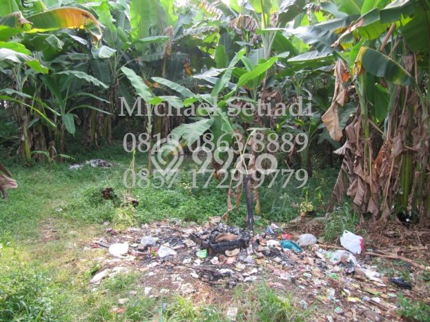 Kavling Tanah Dijual di Pamulang, Tangerang Selatan, Luas 4300m2 Area Strategis Kavling Tanah Dijual di Pamulang, Tangerang Selatan, Luas 4300m2 Area Strategis