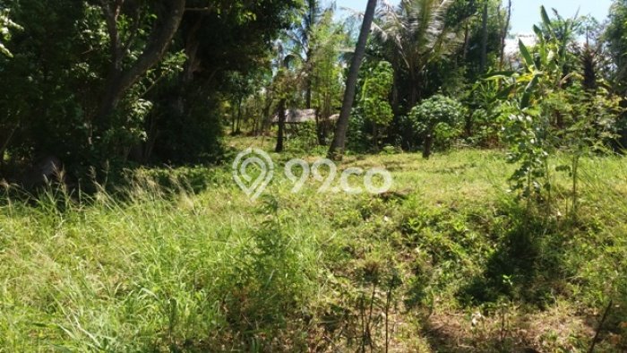 Tanah Dijual Lokasi Seraya Barat Karangasem SHM Tanah Dijual Lokasi Seraya Barat Karangasem SHM