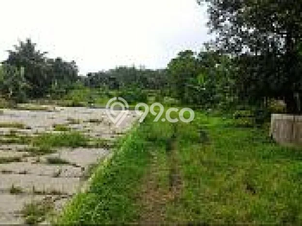 Jarang Ada! Tanah di Ciampea Punya Luas 2000m2 SHM Jarang Ada! Tanah di Ciampea Punya Luas 2000m2 SHM