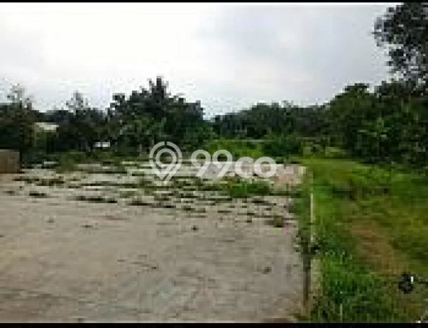 Jarang Ada! Tanah di Ciampea Punya Luas 2000m2 SHM Jarang Ada! Tanah di Ciampea Punya Luas 2000m2 SHM