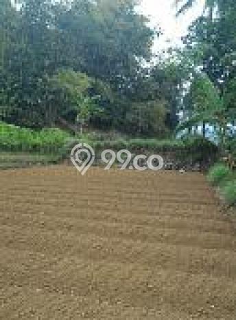 Tanah di Ciampea, Luas 1100m², Dekat Ciampea, Bogor, Bogor Tanah di Ciampea, Luas 1100m², Dekat Ciampea, Bogor, Bogor