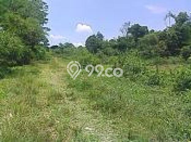 Tanah di Leuwisadeng, Luas 7700m², Akses Jalan Raya, Area Prospektif Tanah di Leuwisadeng, Luas 7700m², Akses Jalan Raya, Area Prospektif