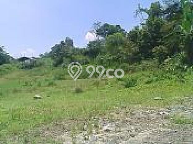 Tanah di Leuwisadeng, Luas 7700m², Akses Jalan Raya, Area Prospektif Tanah di Leuwisadeng, Luas 7700m², Akses Jalan Raya, Area Prospektif