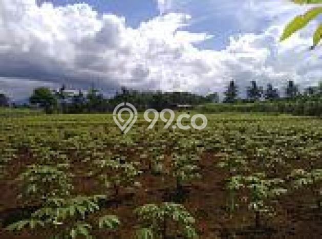 Tanah Kosong Dijual di Bogor dengan Area 4500m2 Tanah Kosong Dijual di Bogor dengan Area 4500m2