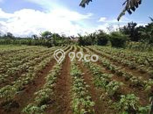 Tanah Kosong Dijual di Bogor dengan Area 4500m2 Tanah Kosong Dijual di Bogor dengan Area 4500m2