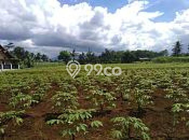Tanah Kosong Dijual di Bogor dengan Area 4500m2 Tanah Kosong Dijual di Bogor dengan Area 4500m2