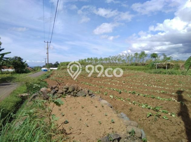 Dijual Tanah di Tenjolaya, Luas 920m², Lingkungan Asri Dijual Tanah di Tenjolaya, Luas 920m², Lingkungan Asri