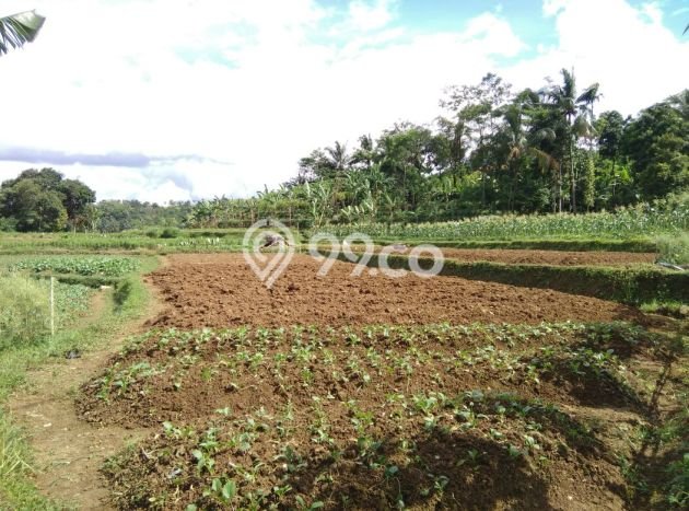 Dijual Tanah di Tenjolaya, Luas 920m², Lingkungan Asri Dijual Tanah di Tenjolaya, Luas 920m², Lingkungan Asri