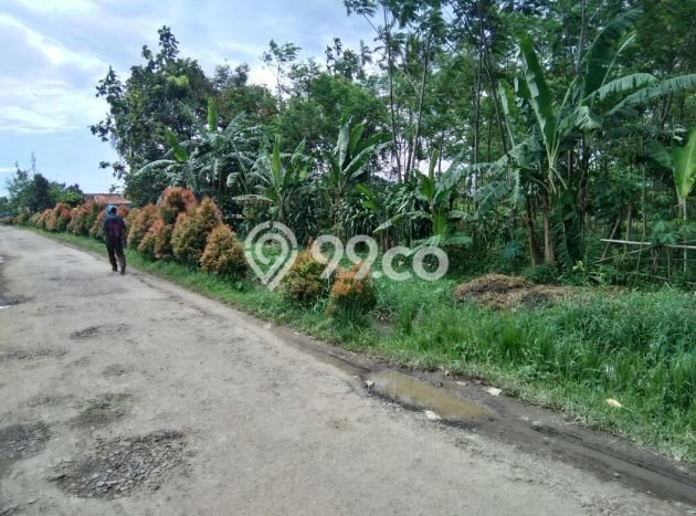 Lahan untuk Dijual Lokasi Dramaga, Bogor Luas 2000m2 SHM Lahan untuk Dijual Lokasi Dramaga, Bogor Luas 2000m2 SHM