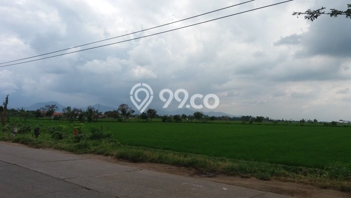 Jarang Ada! Tanah di Rancaekek Punya Luas 1m2 SHM Jarang Ada! Tanah di Rancaekek Punya Luas 1m2 SHM