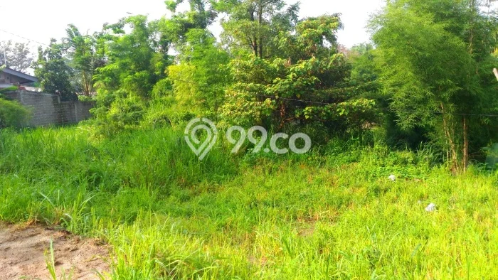 Lahan untuk Dijual Lokasi Parung, Bogor Luas 450m2 SHM Lahan untuk Dijual Lokasi Parung, Bogor Luas 450m2 SHM