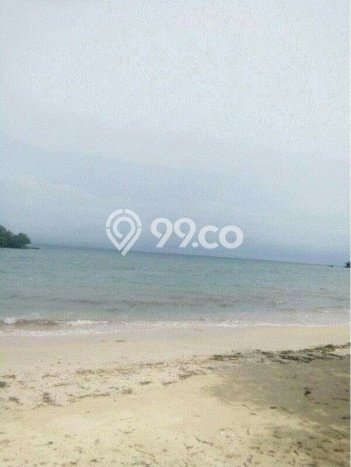 Kavling Tanah Dijual di Jerowaru Lombok Timur Spesifikasi 250000m2 Kavling Tanah Dijual di Jerowaru Lombok Timur Spesifikasi 250000m2