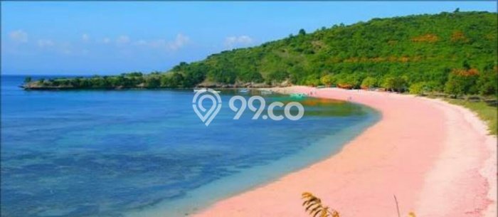Tanah untuk Dijual Lokasi Jerowaru, Lombok Timur Luas 210000m2 SHM Tanah untuk Dijual Lokasi Jerowaru, Lombok Timur Luas 210000m2 SHM