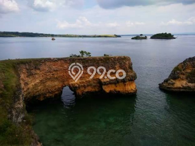 Tanah untuk Dijual Lokasi Jerowaru, Lombok Timur Luas 210000m2 SHM Tanah untuk Dijual Lokasi Jerowaru, Lombok Timur Luas 210000m2 SHM
