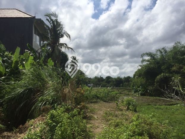 Tanah view sawah dan sungai Tanah view sawah dan sungai