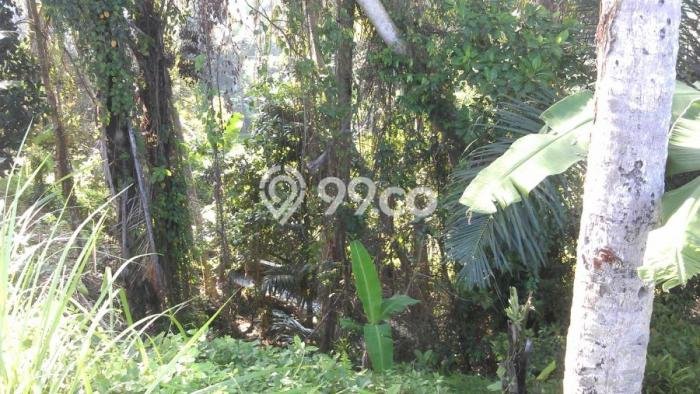 Jual Tanah Lokasi Strategis di Lodtunduh, Luas 1100m², Akses Lodtunduh, Gianyar, Gianyar Jual Tanah Lokasi Strategis di Lodtunduh, Luas 1100m², Akses Lodtunduh, Gianyar, Gianyar