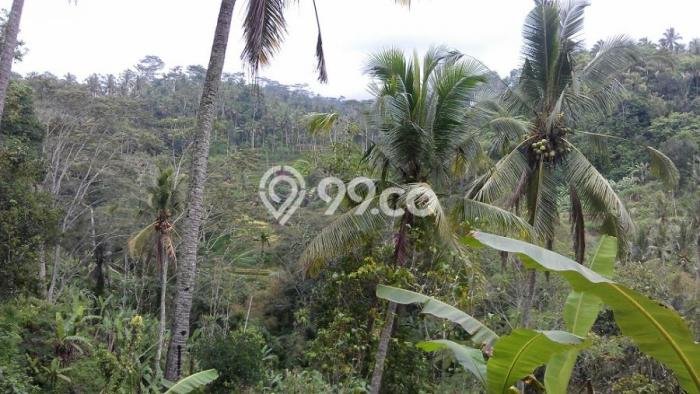 Tanah Komersial Dijual di Ubud Gianyar 66118m2 Tanah Komersial Dijual di Ubud Gianyar 66118m2