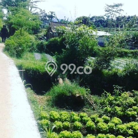 Dijual Tanah di Lembang Bandung Barat Luas 10000m2 - Dijual Tanah di Lembang Bandung Barat Luas 10000m2 -