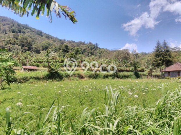 PRIME LOCATION! Tanah Kawasan , Luas 80300m2m², Ideal untuk Investasi PRIME LOCATION! Tanah Kawasan , Luas 80300m2m², Ideal untuk Investasi