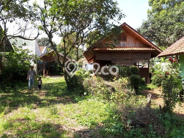 Kavling Tanah Dijual di Wanayasa Purwakarta Spesifikasi 6000m2 Kavling Tanah Dijual di Wanayasa Purwakarta Spesifikasi 6000m2