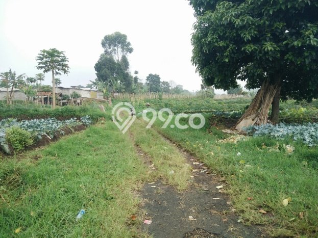 Tanah Dijual di Bandung Seluas 200m2 Strategis Tanah Dijual di Bandung Seluas 200m2 Strategis