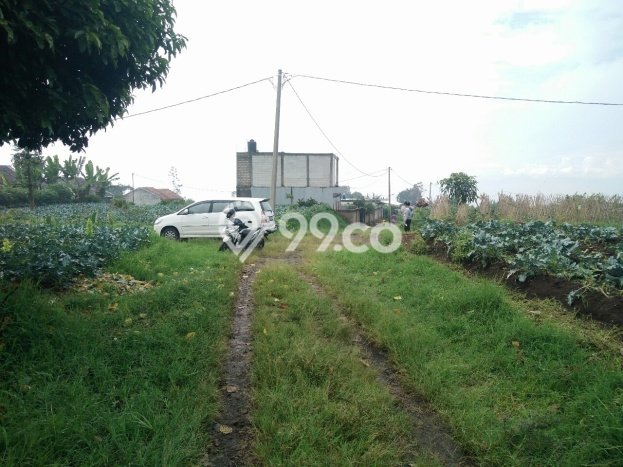 Tanah Dijual di Bandung Seluas 200m2 Strategis Tanah Dijual di Bandung Seluas 200m2 Strategis