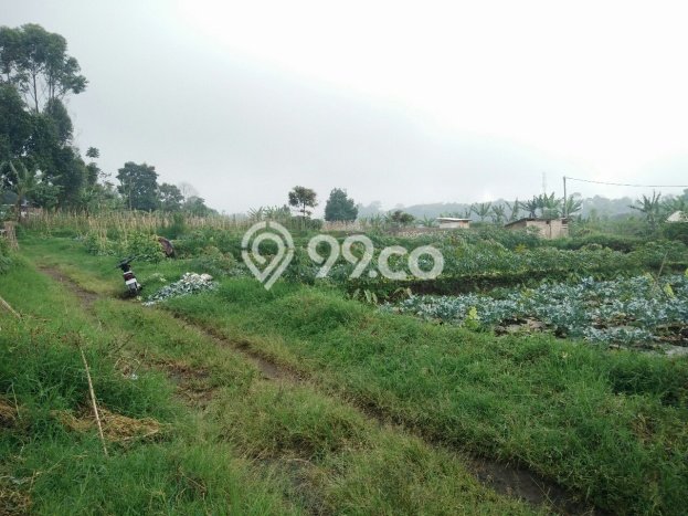 Tanah Dijual di Bandung Seluas 200m2 Strategis Tanah Dijual di Bandung Seluas 200m2 Strategis