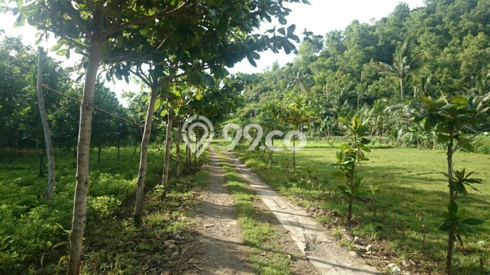 Dijual Tanah Kawasan Pringkuku, Luas 3814m², Area Berkembang Dijual Tanah Kawasan Pringkuku, Luas 3814m², Area Berkembang
