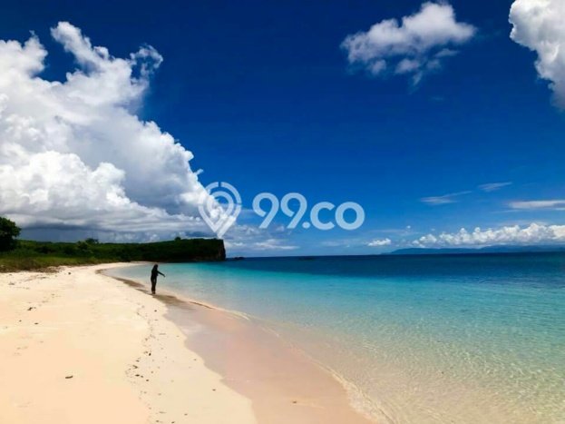 Tanah Dijual Lokasi Jerowaru, Lombok Timur dengan Luas Tanah 108900m2 dan Status SHM Tanah Dijual Lokasi Jerowaru, Lombok Timur dengan Luas Tanah 108900m2 dan Status SHM