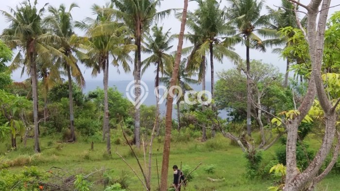 Dijual Tanah Lokasi Nusa Penida, Klungkung Seluas 15000m2 Dijual Tanah Lokasi Nusa Penida, Klungkung Seluas 15000m2