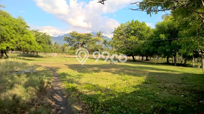 Tanah Dijual Area Strategis di Pemuteran Buleleng 8480m2 Tanah Dijual Area Strategis di Pemuteran Buleleng 8480m2