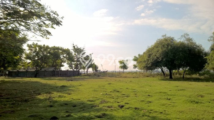 Tanah Dijual Area Strategis di Pemuteran Buleleng 8480m2 Tanah Dijual Area Strategis di Pemuteran Buleleng 8480m2