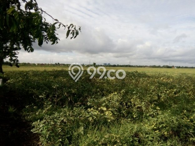 Kavling Tanah Dijual di Babelan Bekasi Spesifikasi 2.7e+06m2 Kavling Tanah Dijual di Babelan Bekasi Spesifikasi 2.7e+06m2