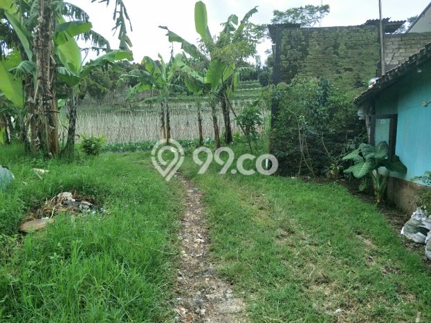 Tanah Dijual Area Strategis di Lembang Bandung 9815m2 Tanah Dijual Area Strategis di Lembang Bandung 9815m2