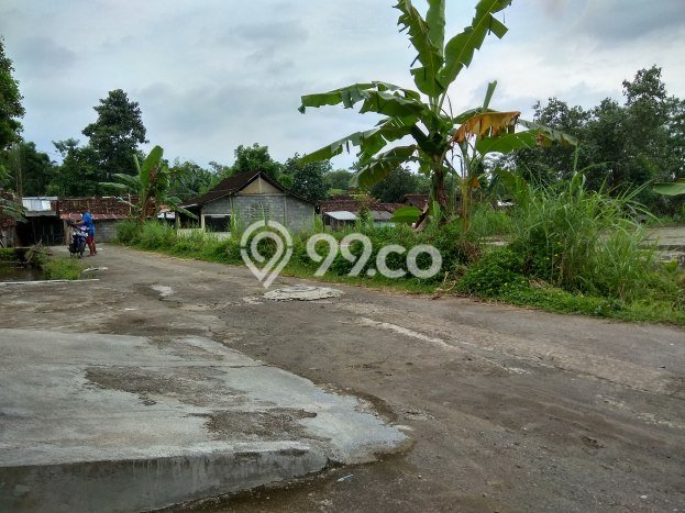 Untuk Dijual Tanah di Mlati Sleman Luas 1300m2 SHM Untuk Dijual Tanah di Mlati Sleman Luas 1300m2 SHM
