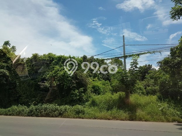 Tanah Investasi Dijual di Serang Punya Luas 50000m2 Tanah Investasi Dijual di Serang Punya Luas 50000m2