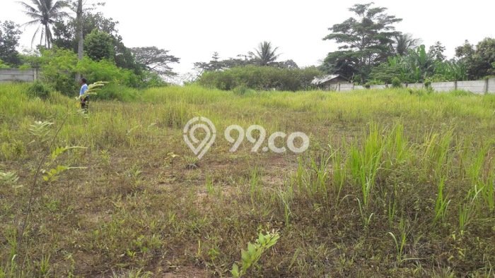 Disewakan Tanah di Tangerang, Luas 10000m2 Area Berkembang Disewakan Tanah di Tangerang, Luas 10000m2 Area Berkembang