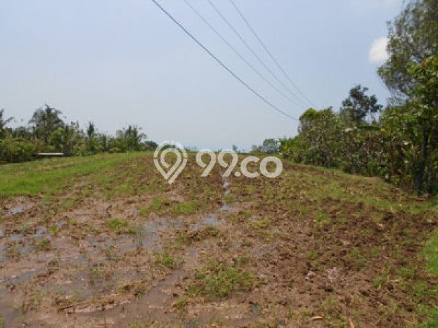 Tanah Lokasi Strategis Kawasan Soka, Luas 5500m², Akses ke Fasilitas Umum, Dekat Soka, Tabanan, Tabanan Tanah Lokasi Strategis Kawasan Soka, Luas 5500m², Akses ke Fasilitas Umum, Dekat Soka, Tabanan, Tabanan
