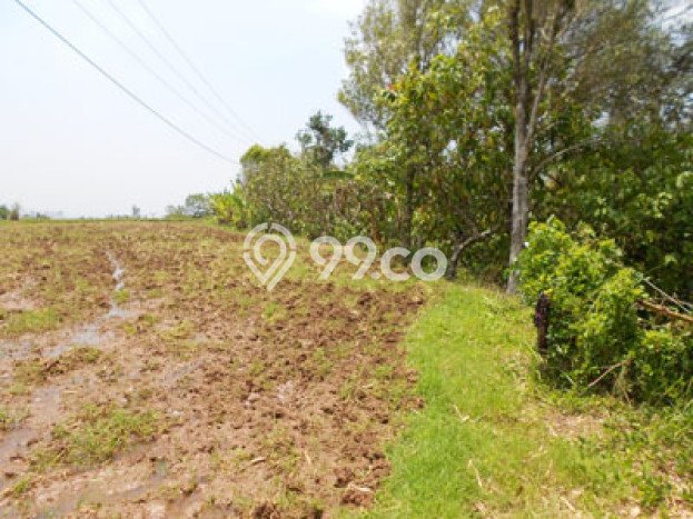 Tanah Lokasi Strategis Kawasan Soka, Luas 5500m², Akses ke Fasilitas Umum, Dekat Soka, Tabanan, Tabanan Tanah Lokasi Strategis Kawasan Soka, Luas 5500m², Akses ke Fasilitas Umum, Dekat Soka, Tabanan, Tabanan